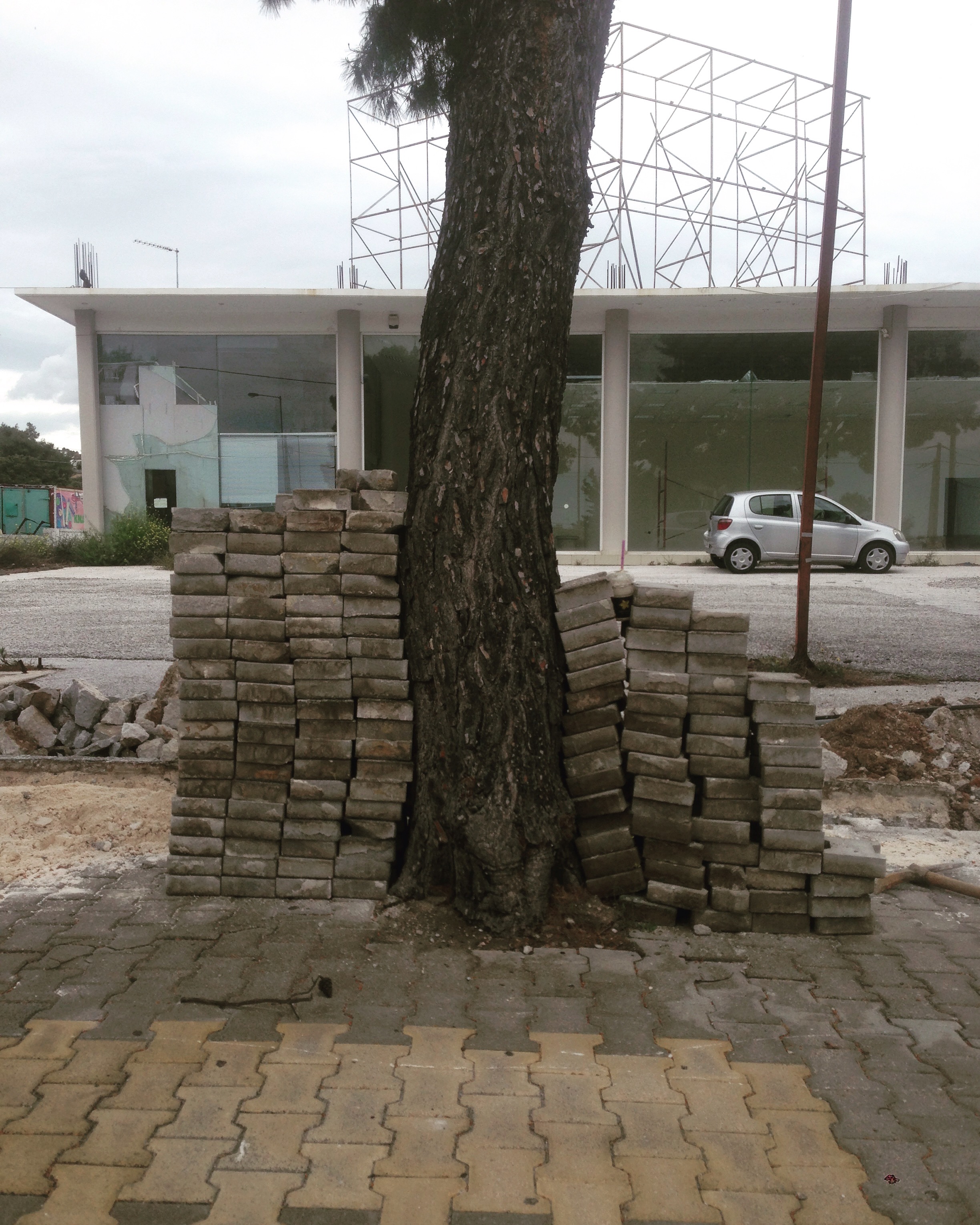 Opus diei | 0904
Leaning or the trunk as an expression of a metal frame cube foliage .
.
. .