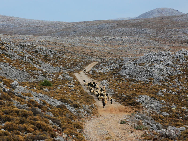 Vogiatzis_MG_9611_φουρνοι (1)